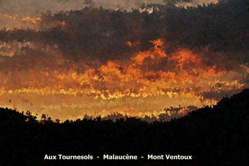 G�te Aux Tournesols