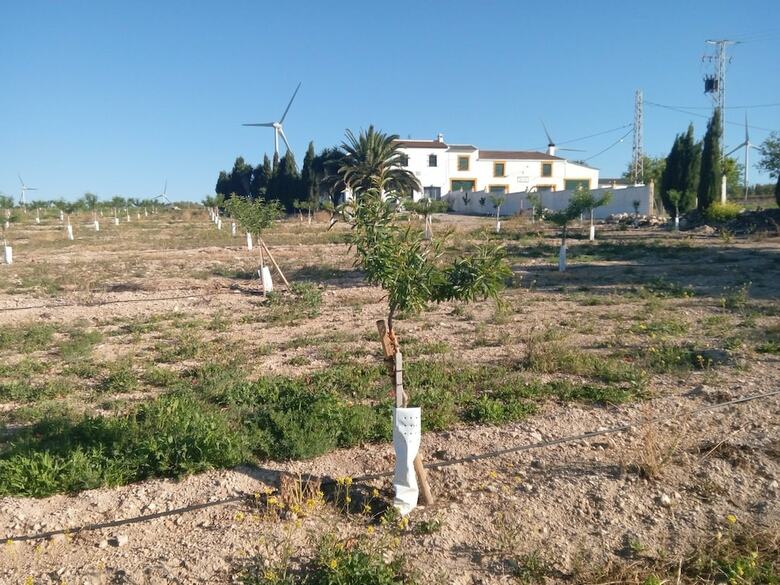 Bed & Breakfast Alojamiento Rural El Oregano