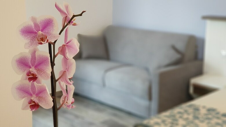 Ilice B&B