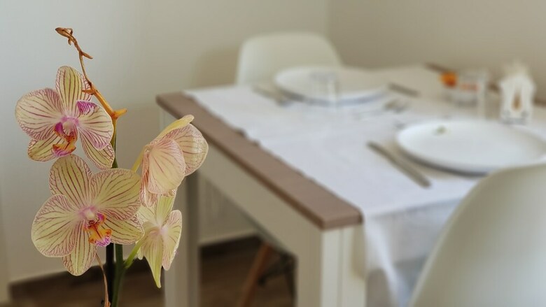 Ilice B&B