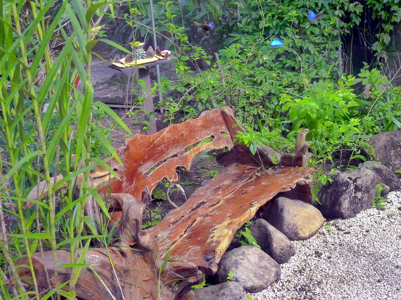 Blue River Resort & Hot Springs