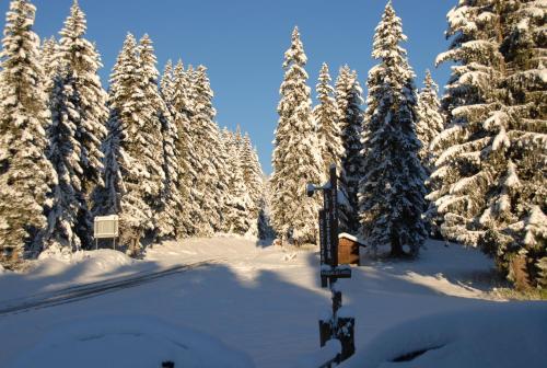Hotel H�tel Chalet Le Caribou