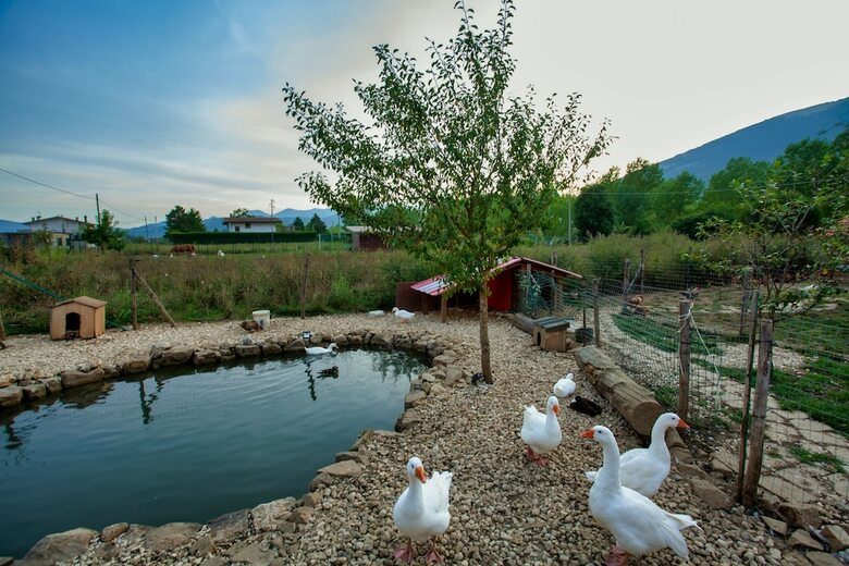 Agroturismo Il Vecchio Pollaio