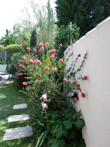 Bed & Breakfast Le Clos Martin