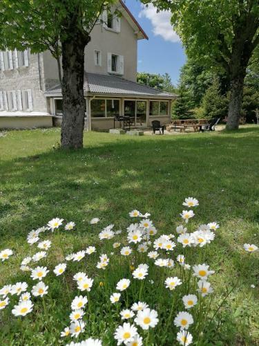 Bed & Breakfast G�te La Vigne