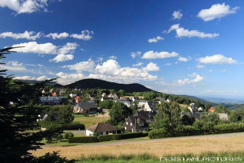 Hotel H�tel Restaurant Et Spa Au Tilleul