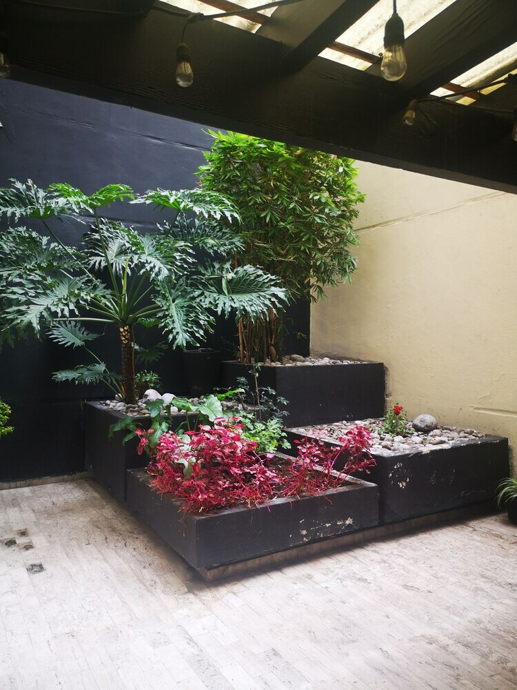 Apartamentos Lindo Depto Con Terraza Y Balcon Emerson