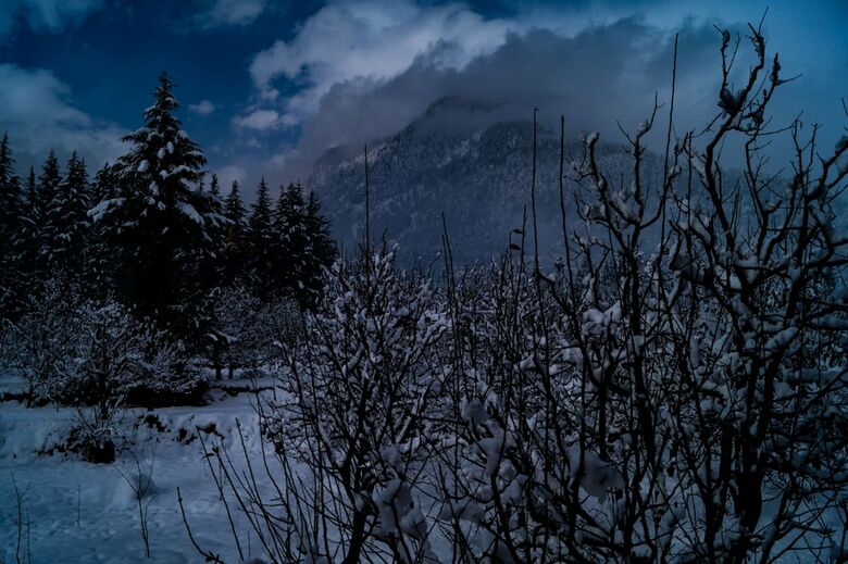 Hotel Alt Life Manali