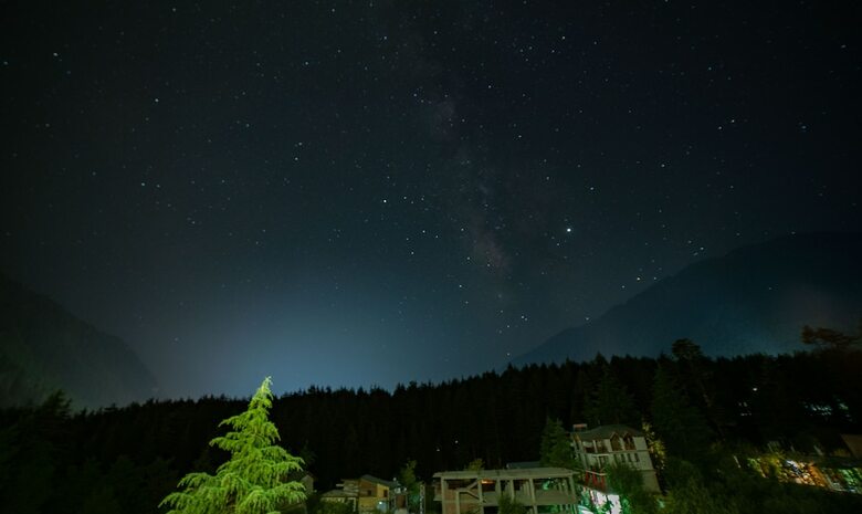 Hotel Alt Life Manali