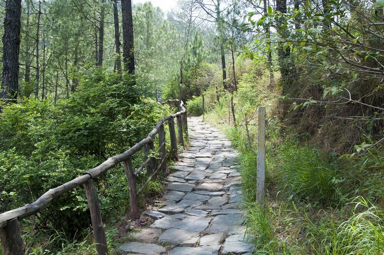 Apartamento Kasauli Hills Resort