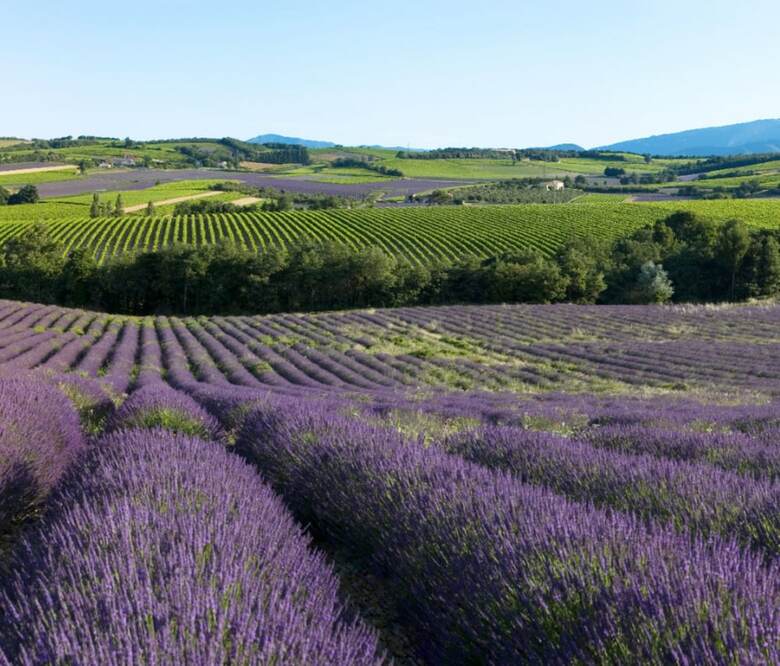Bed & Breakfast Domaine Les Bayles - Chambres D'h�tes