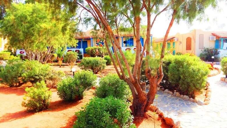 Aparthotel Zorbas Beach Village Hotel