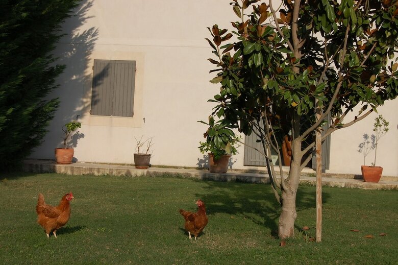 Bed & Breakfast Mas de La Respelido