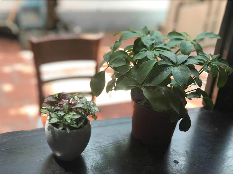 Zo Hotels To Ngoc Van