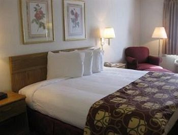 Hotel Buena Vista Inn And Suites