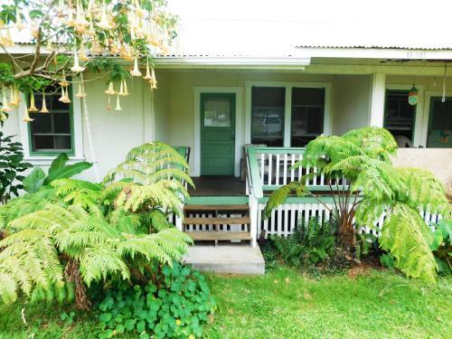 Hapuu At Pahala Plantation Cottages