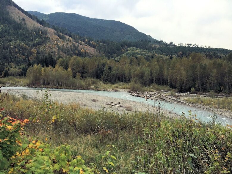 Mt. Baker Lodging Cabin 16 ? Hot Tub, Pets, Sleeps 4! By Mbl