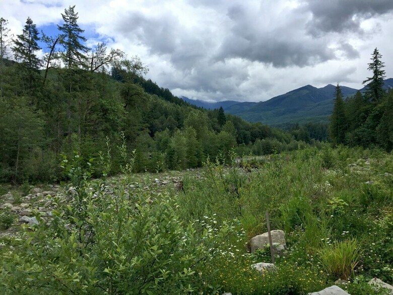 Mt. Baker Lodging Cabin 16 ? Hot Tub, Pets, Sleeps 4! By Mbl