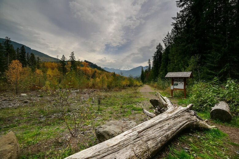 Mt. Baker Lodging Cabin 16 ? Hot Tub, Pets, Sleeps 4! By Mbl
