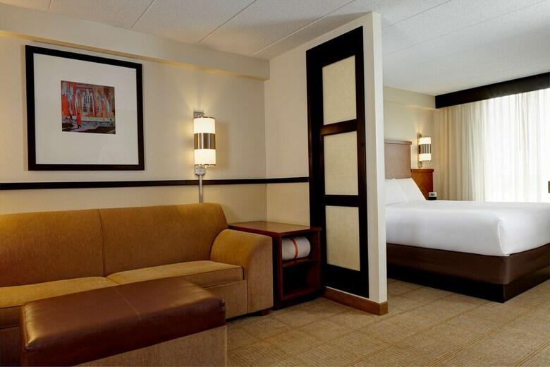 Hotel Springhill Suites By Marriott Atlanta Perimeter Center