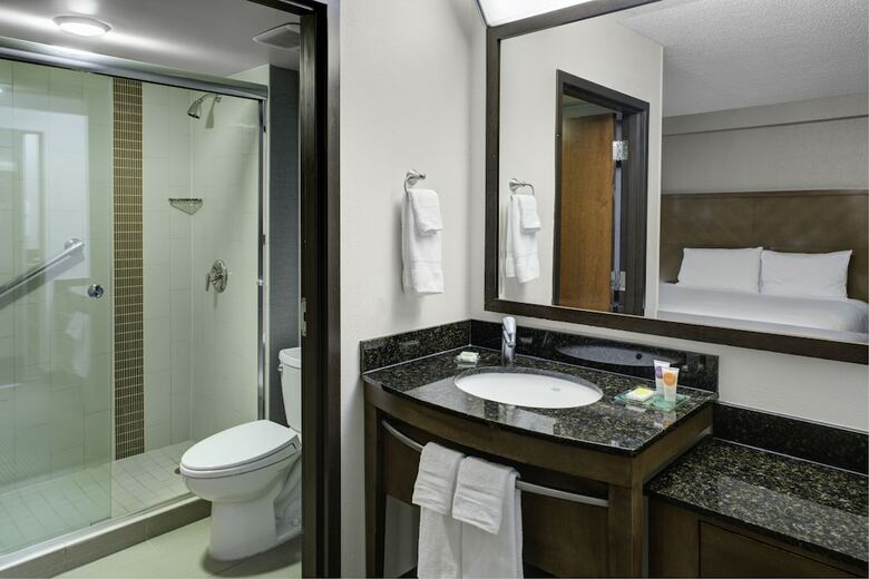 Hotel Springhill Suites By Marriott Atlanta Perimeter Center