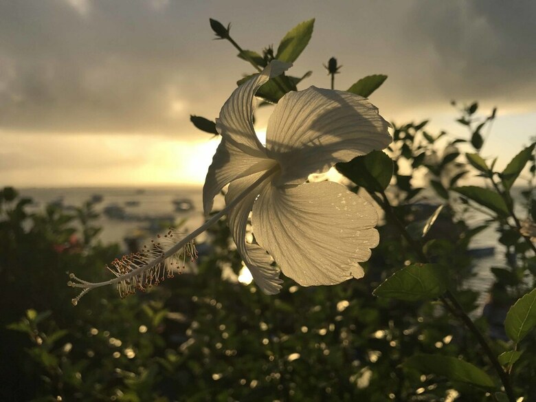 Apartamento Hotel Portal�