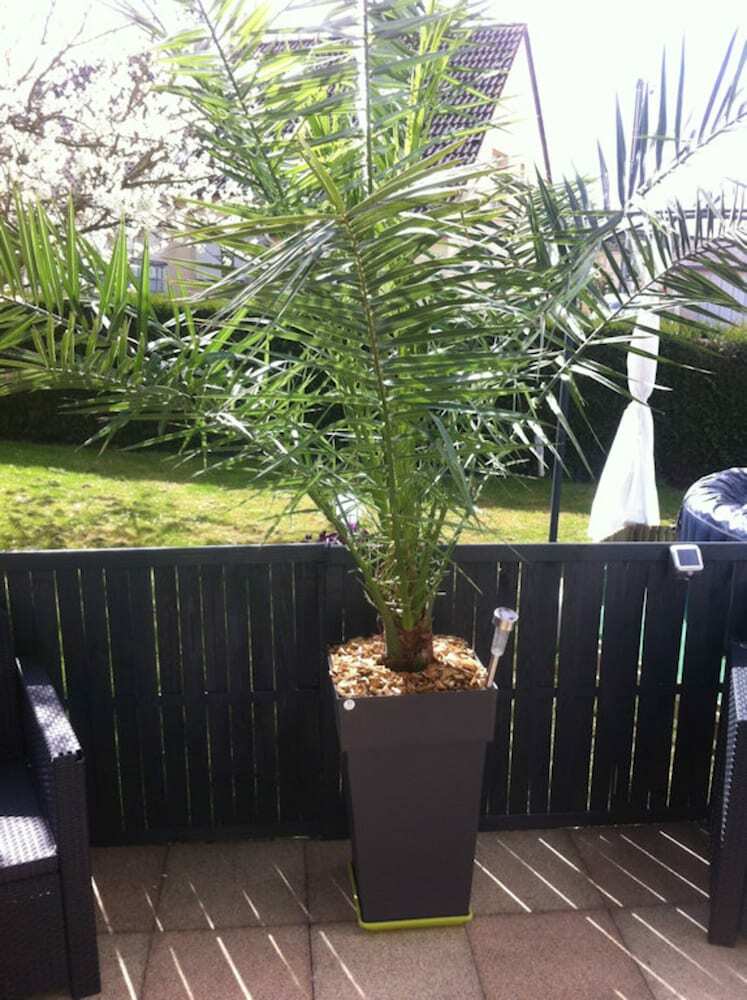 Bed & Breakfast Chambres D'hotes Les Papillons