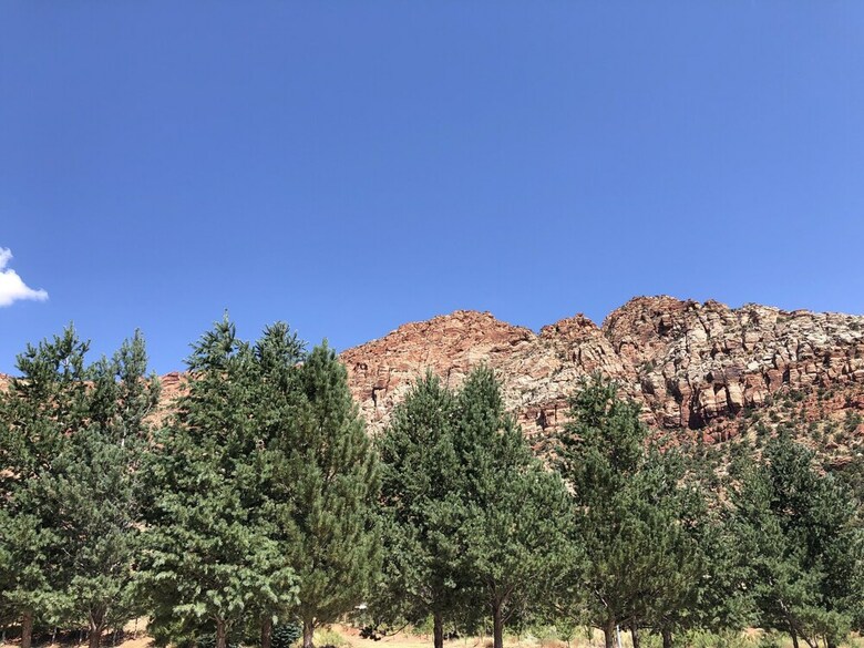 Posada Zion Cliff Lodge