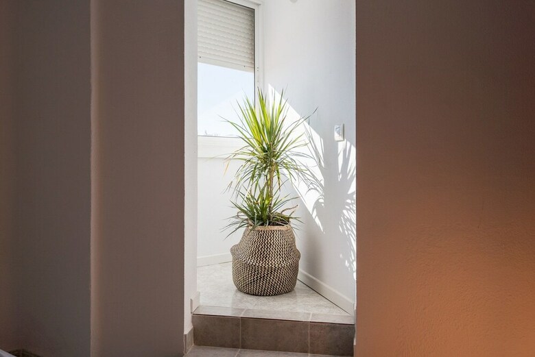 Malagasuite City Center Arango Apartment