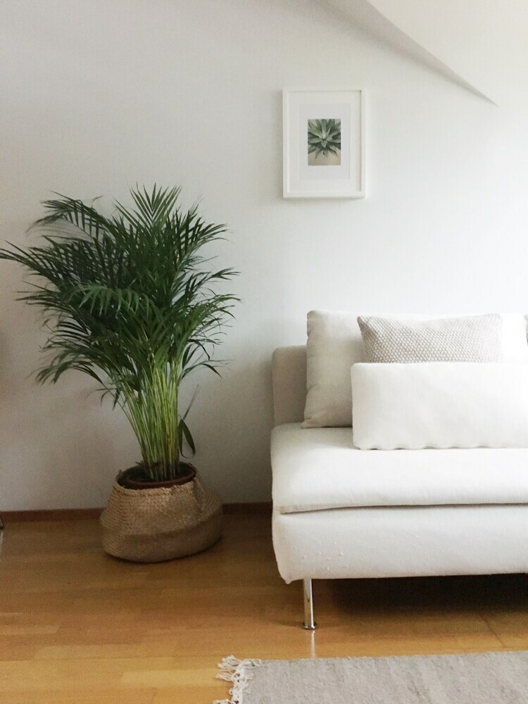 Apartamentos Roost Pursimiehenkatu