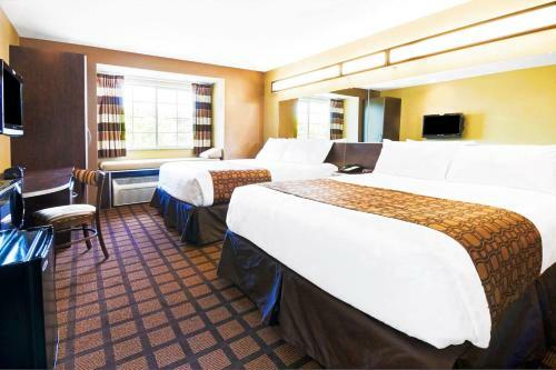 Hotel Microtel Inn & Suites By Wyndham Macon