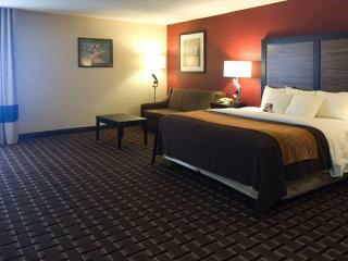 Hotel Comfort Inn Selma