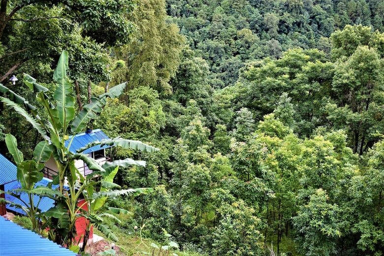Hotel Jungle Crown Organic Homestay