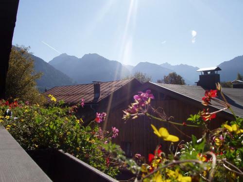 Apartamento G�stehaus Alpin