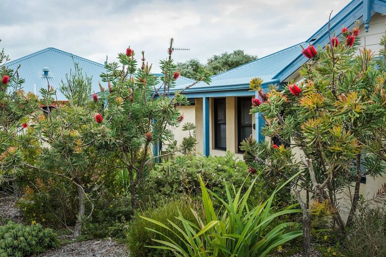 Banksia At Cosy Corner