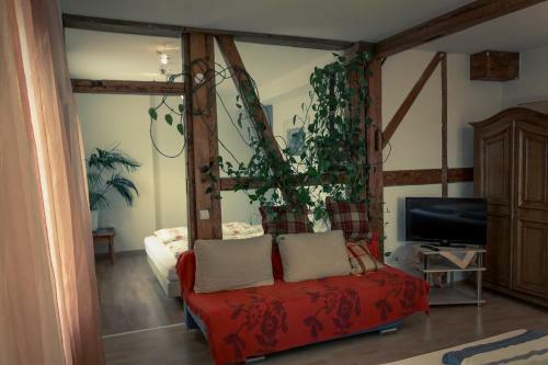 Hostal Hotel Adler