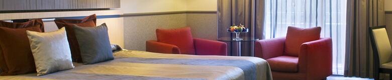 Hotel Shivani International