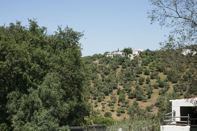 Villa La Mina Constantina Canovas