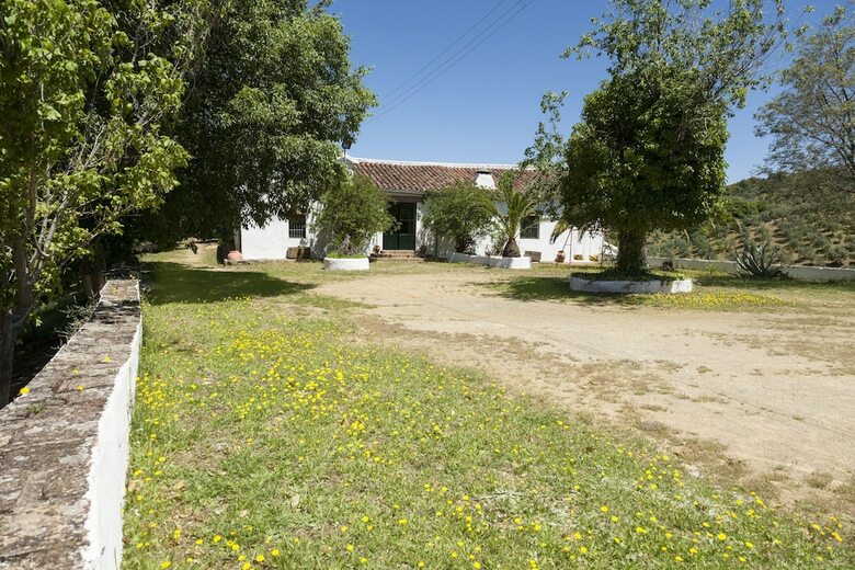 Villa La Mina Constantina Canovas