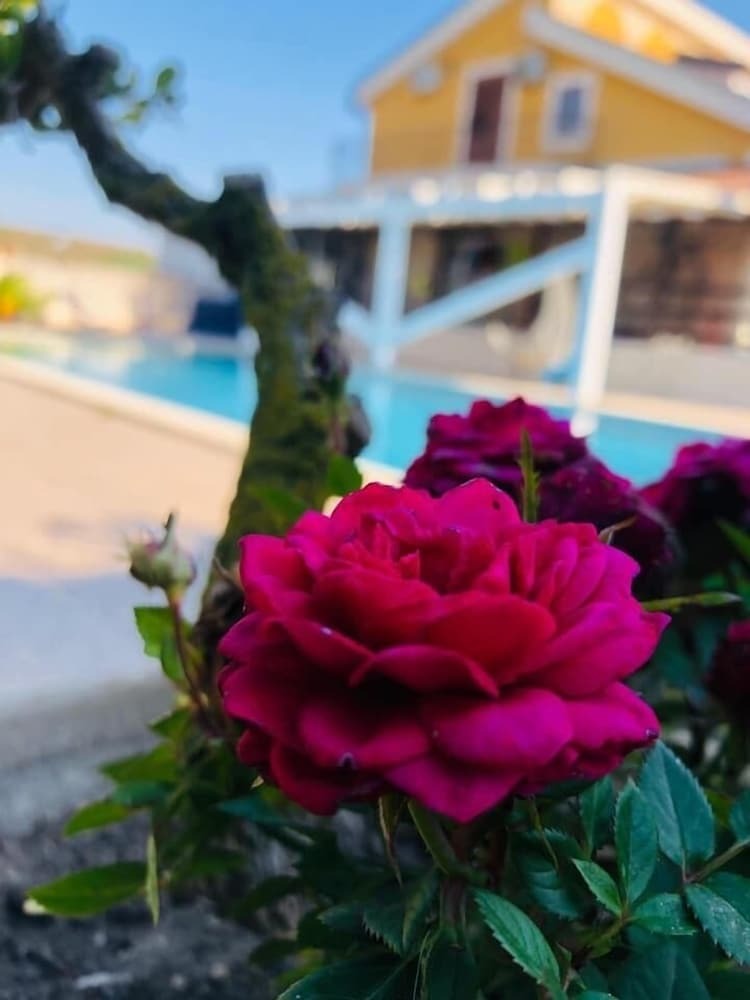 Bed & Breakfast Vittoria House