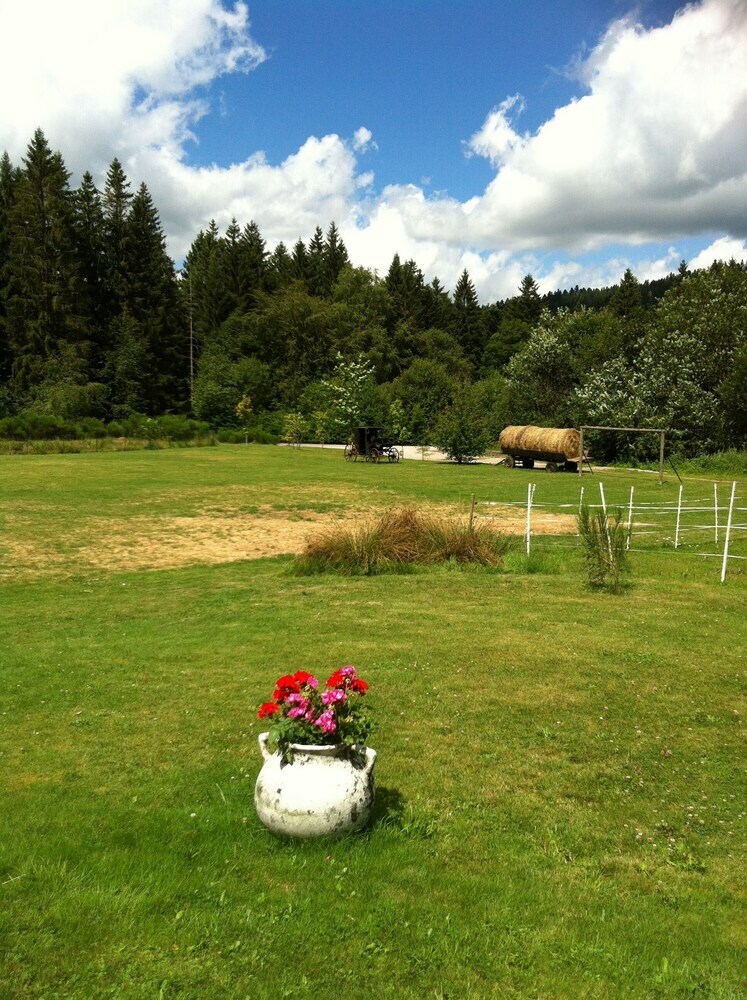 Ferme Des Brimbelles