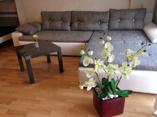 Apartamento Ferienwohnung Michelle Alemannenstr 1 In 77977 Rust