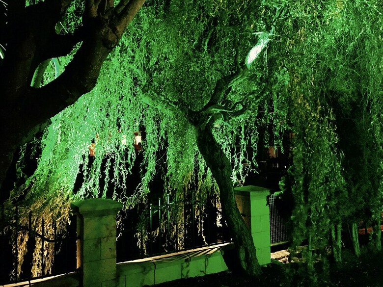 Hostal Europa Pension Zum Gr�nen Baum