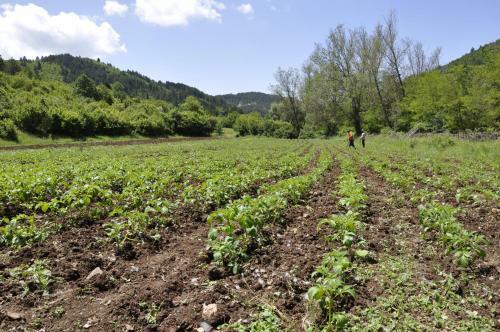 Agroturismo Farm Sotira