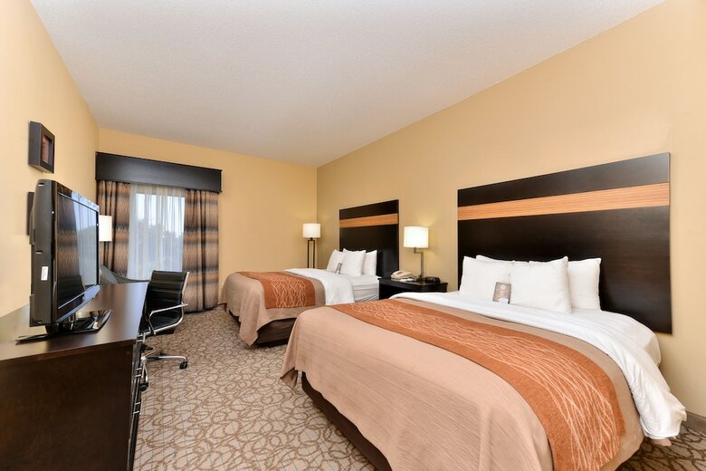 Hotel Comfort Inn & Suites At Stone Mountain