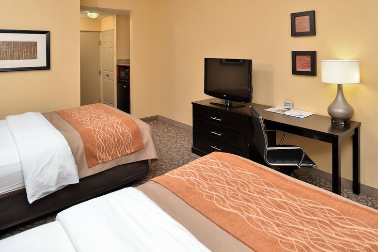 Hotel Comfort Inn & Suites At Stone Mountain