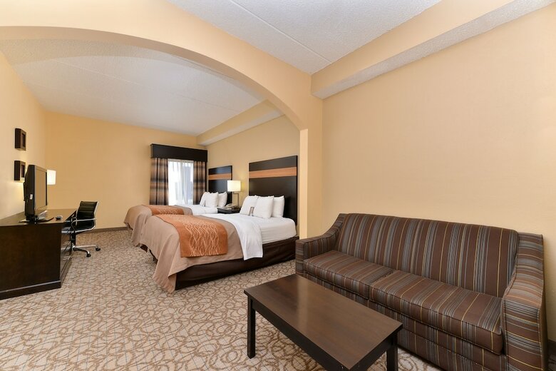 Hotel Comfort Inn & Suites At Stone Mountain