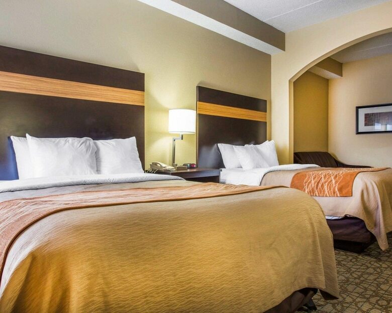 Hotel Comfort Inn & Suites At Stone Mountain