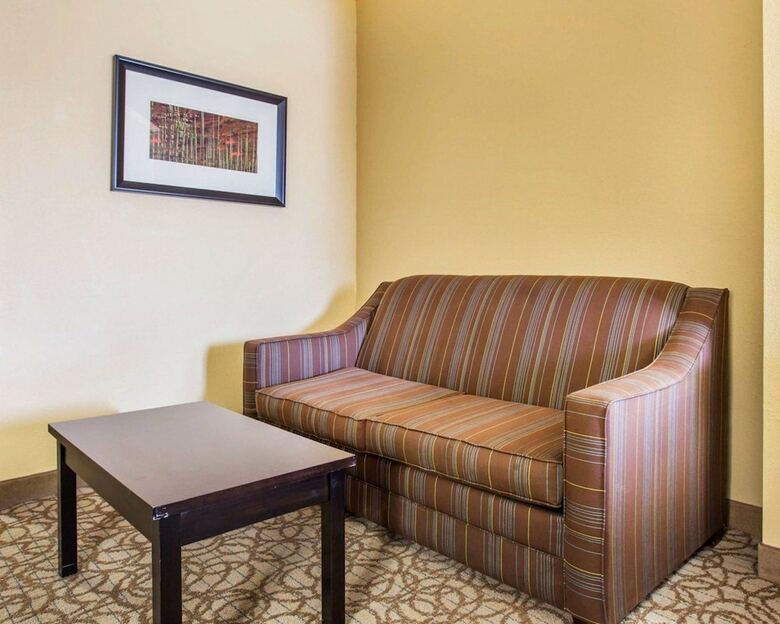 Hotel Comfort Inn & Suites At Stone Mountain