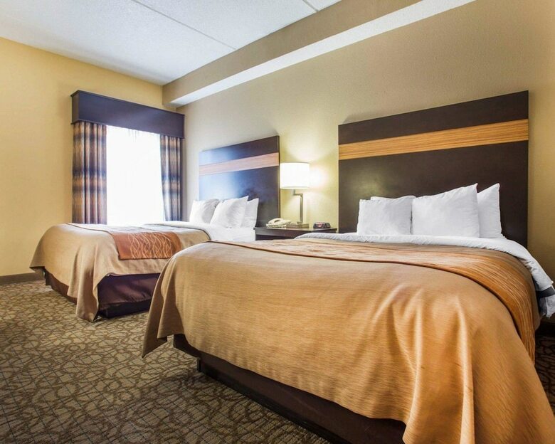 Hotel Comfort Inn & Suites At Stone Mountain